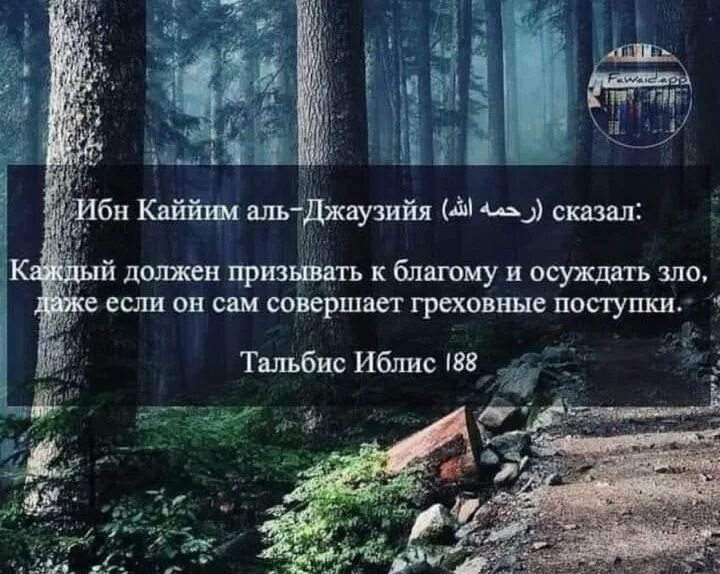 Ибн кайим аль. Ибн Аль Каййим цитаты жизнь. Ибн Каййим Аль-Джаузийя. Ибн Аль Каййим сказал. Высказывания ибн Каййим.