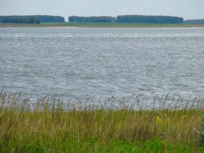 Озеро горькое, село новоключи. Новоключи озеро новосибирская область. Озеро горькое новосибирская область новоключи. Озеро горькое, село новоключи. Озеро новоключи новосибирская область.