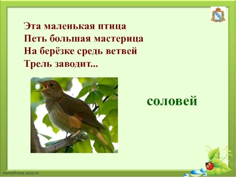 Тут птицы не поют. Курский Соловей. Курский Соловей живой символ Курского края. Символ Курска Соловей. Лэпбук на тему Курский Соловей.