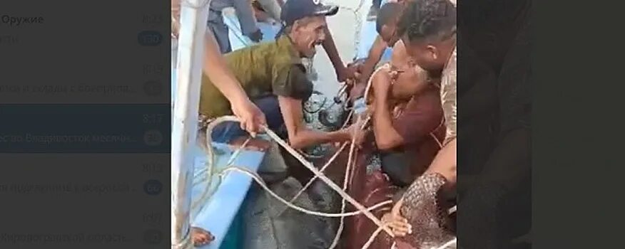 Полиция хургада. Хургада египет. В египте акула напала на туристку 2022. Акула напала на женщину в египте 2022. Турция сиде манавгат река впадает в море.