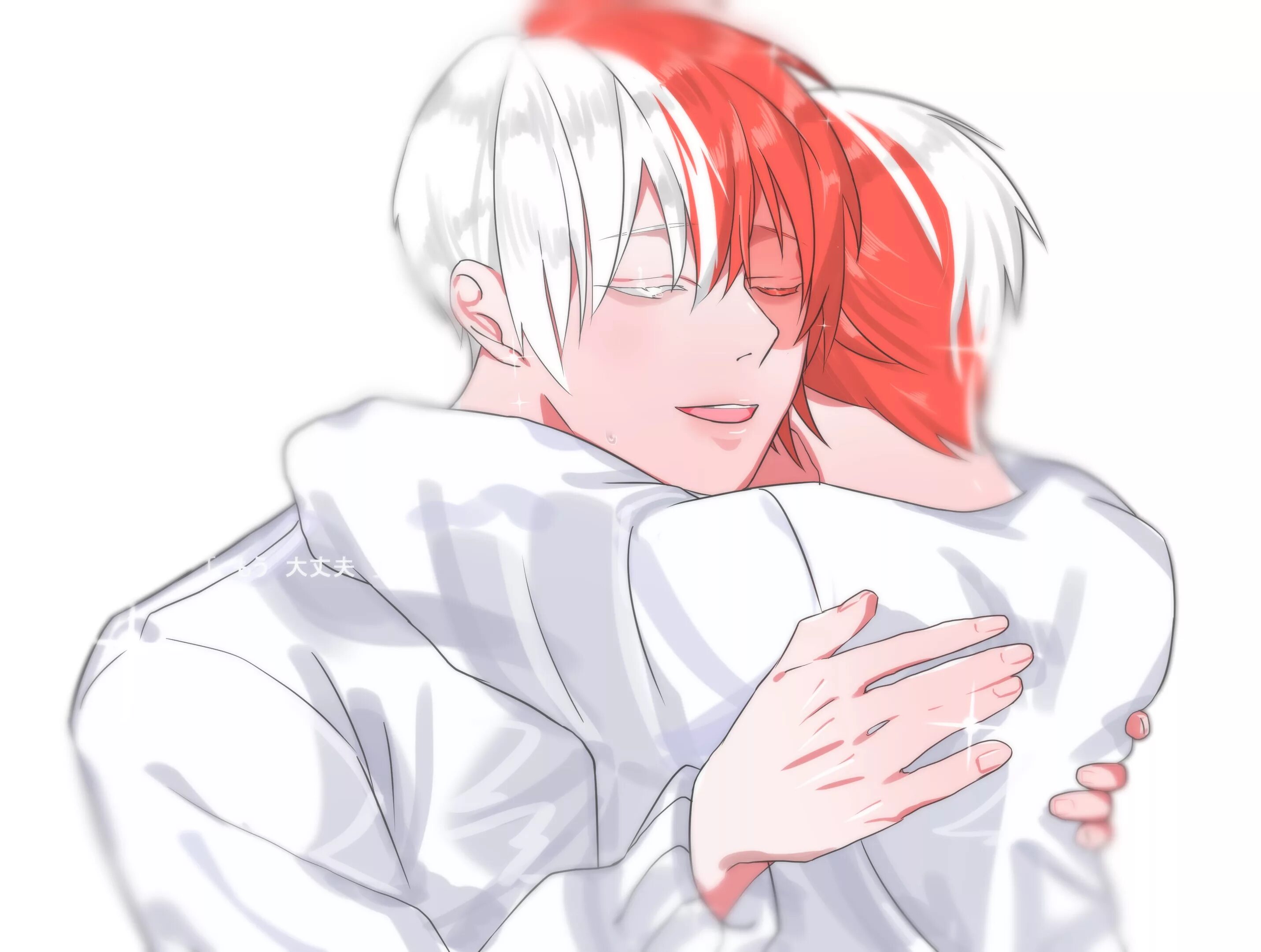 Todoroki reader