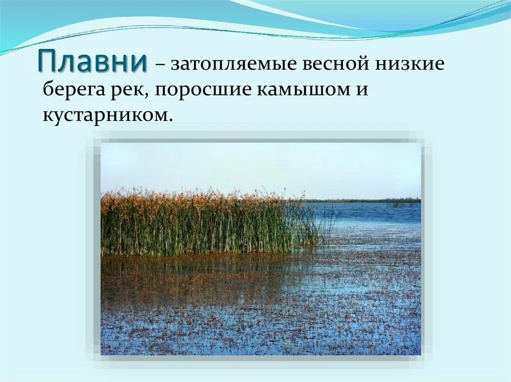 Описание плавней. Водоёмы Краснодарского края. Плавни Краснодарского края. Презентация реки Краснодарского края. Реки и водоёмы Краснодарского края.