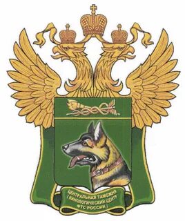 Центральный фтс