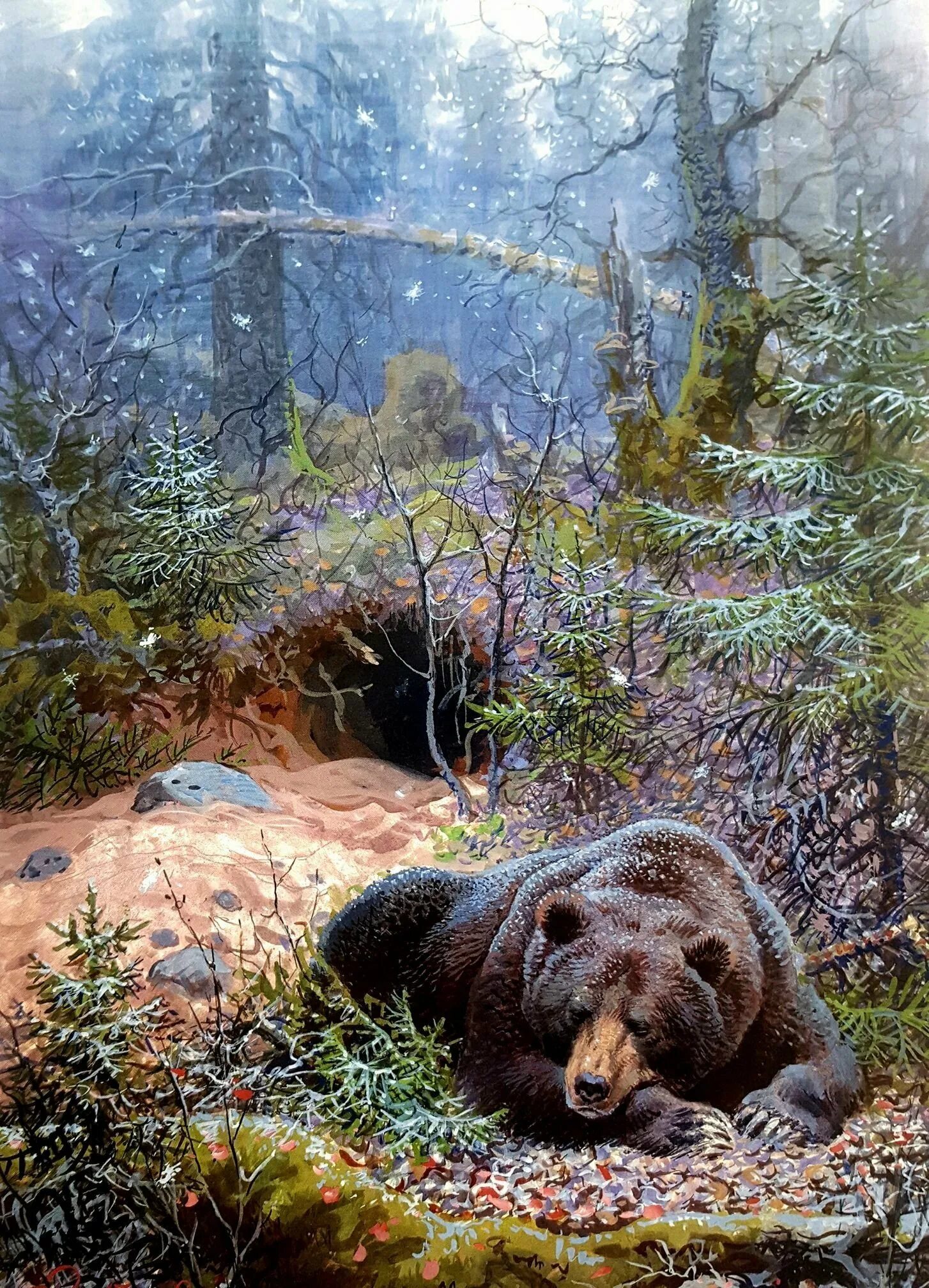 Бурый медведь в берлоге. Берлога охотника