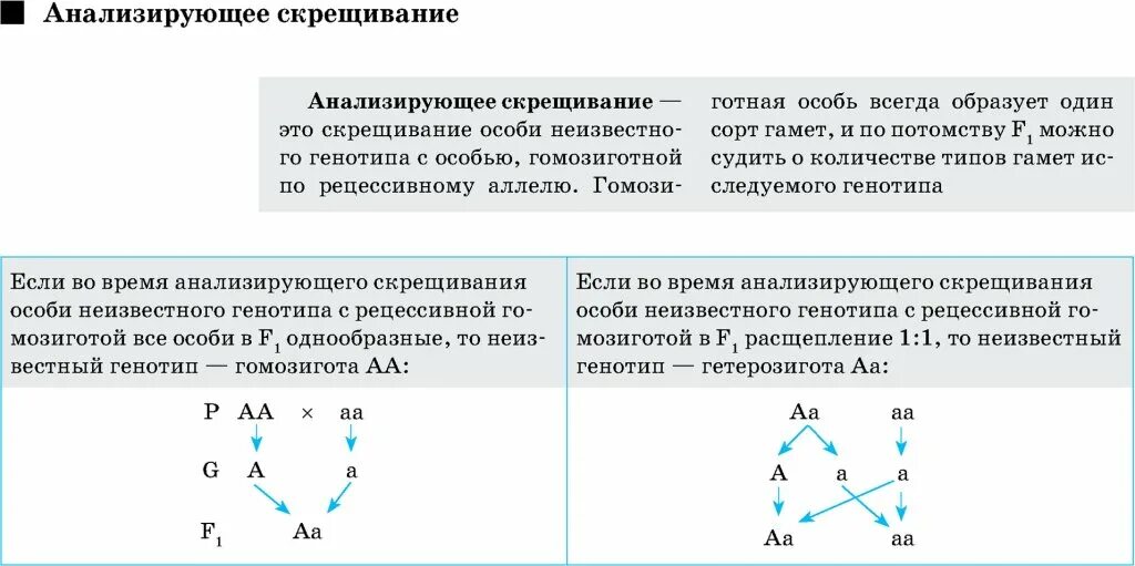 Анализирующим скрещиванием устанавливают генотип. Метод анализирующих СКРЕЩИВАНИЙ. Сущность анализирующего скрещивания. Анализирующее скрещивание пример. Анализирующий Тип скрещивания.