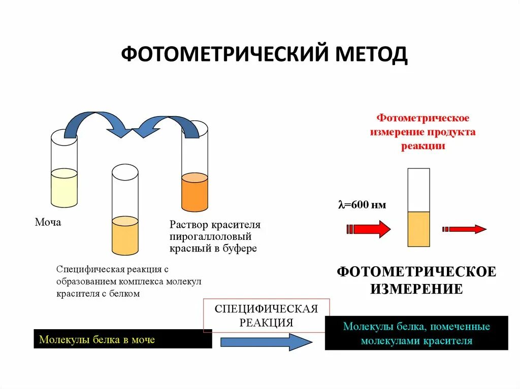 Методы исследования белка в моче. Реактив для определения белка в моче. Исследование общего анализа мочи определение белка. Пирогаллоловый метод определения белка в моче.