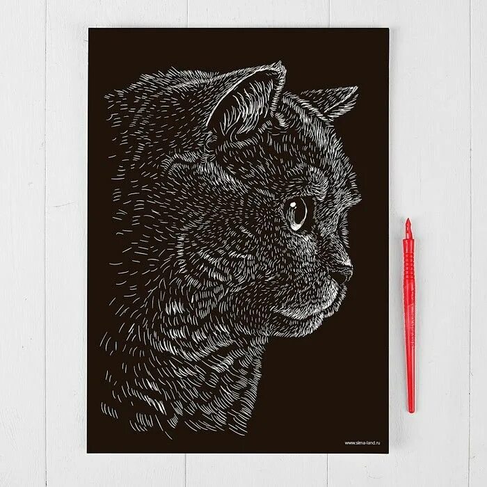 Тигр линогравюра. Кот гравюра. Линогравюра кот. Коты гравюра. Кот гравюра.