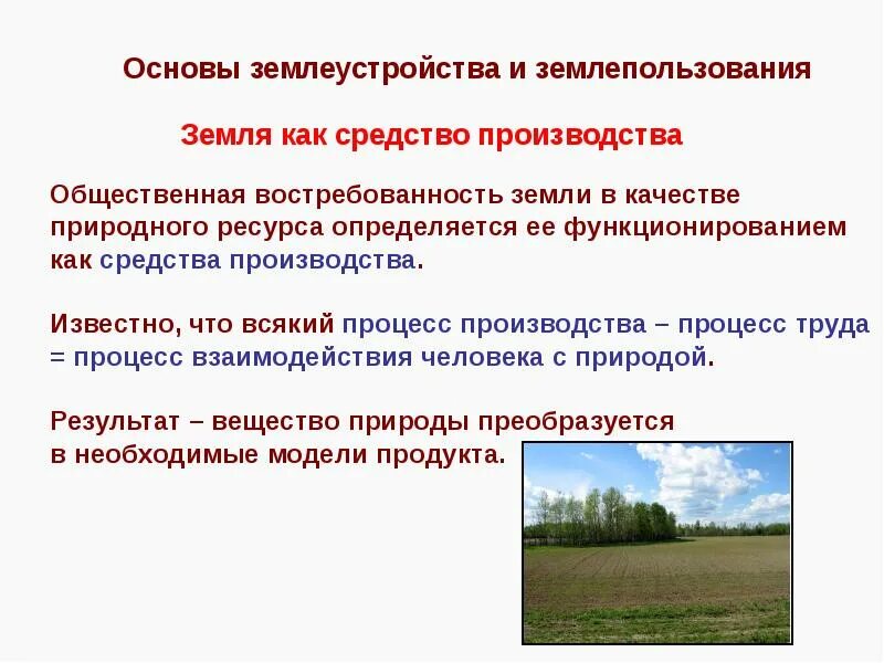 Сведения о землеустройстве