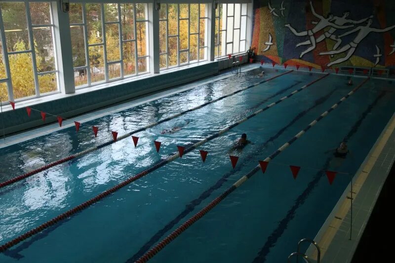 плавательный бассейн дельфин кировск мурманская область. бассейн полярный. город полярные зори бассейн. плавательный бассейн полярные зори. бассейн на полярных зорях мурманск.