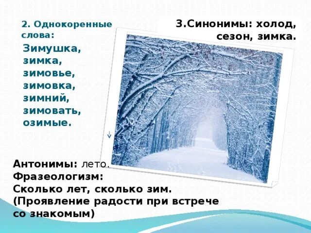 Подберите к слову мороз слова. Зимние слова. Слова про зиму. Предложения о зиме. Проект о слове зима.