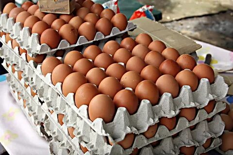 Intentan contrabandear diariamente casi 400 huevos de gallina desde México ...