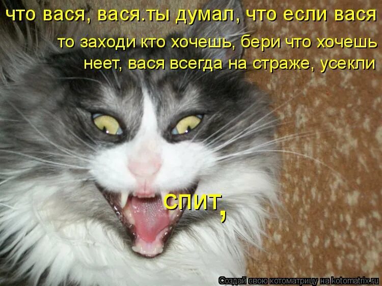 дом из простоквашино живите кто хотите. заходя на мою страницу статусы. статусы. ну ты это заходи если что. заходи кто хочешь.