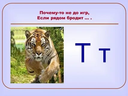 Животные на букву т
