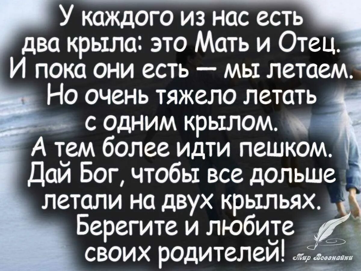 Цитаты про родителей. Цитаты про отношения родителей и детей. Мудрые слова о родителях. Афоризмы про отношении родителей к детям. Папа и папа у меня есть родители