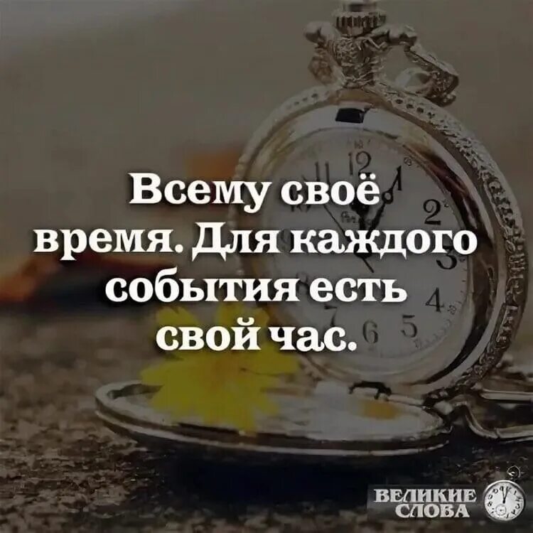 Для каждого события есть свой час. Для каждого события есть свой час всему. Каждому событию свой час. Всему свое время.