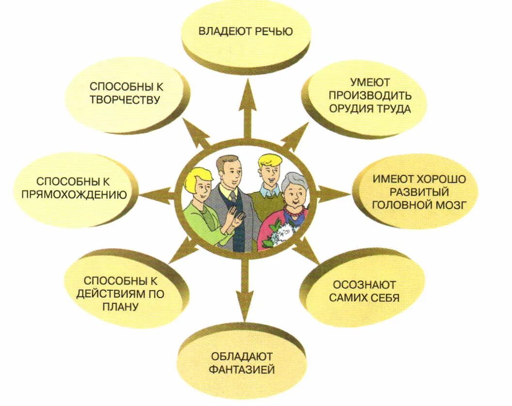 Чем человек отличается от других живых существ 6 класс Обществознание. Чем отличаетесь от других людей. Отличие человека от других существ. Схема отличий человека от животных.