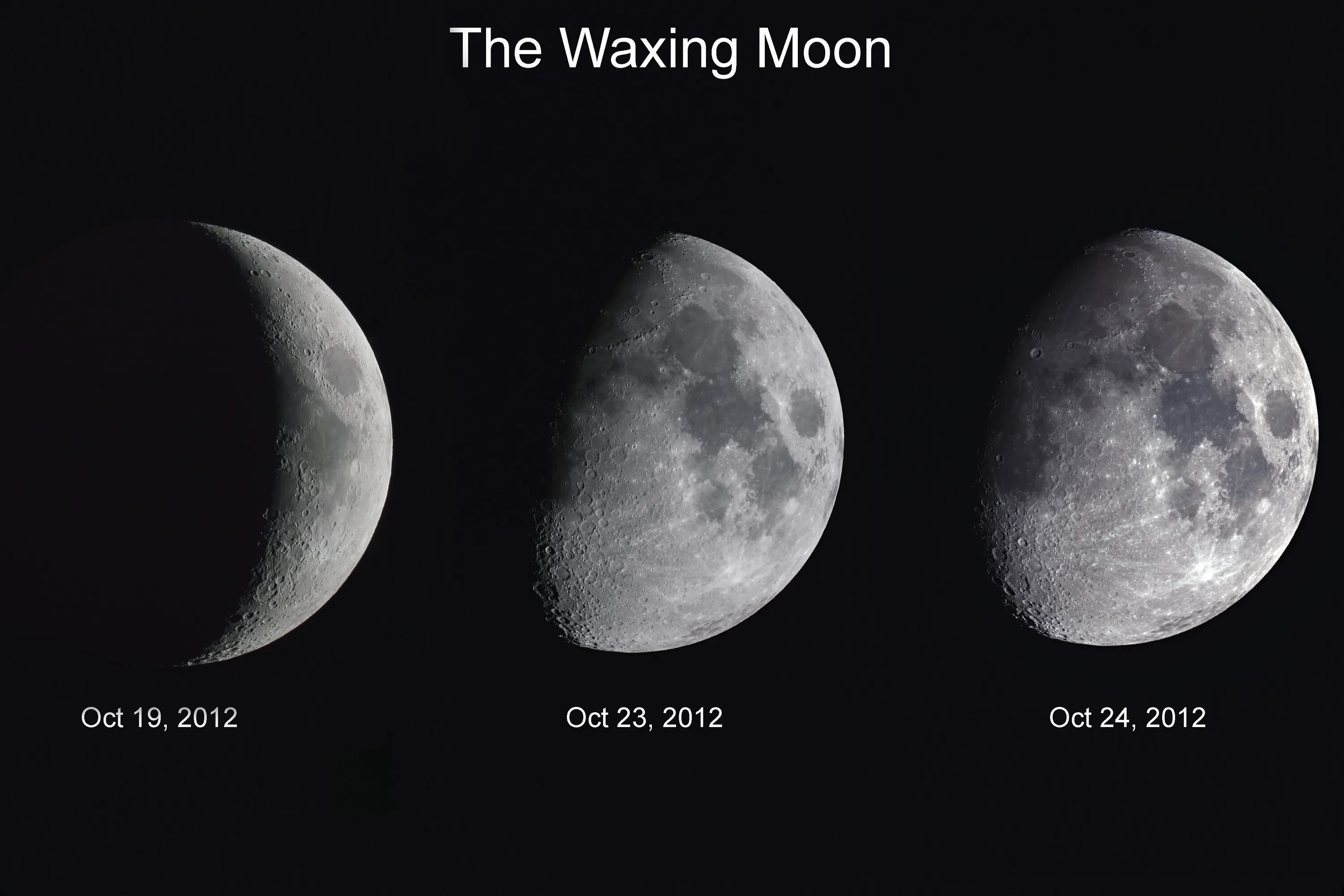 Moon correct moon. Waxing Moon. Waxing Crescent Moon. Waxing Gibbous. Waxing Moon Waxing Moon.