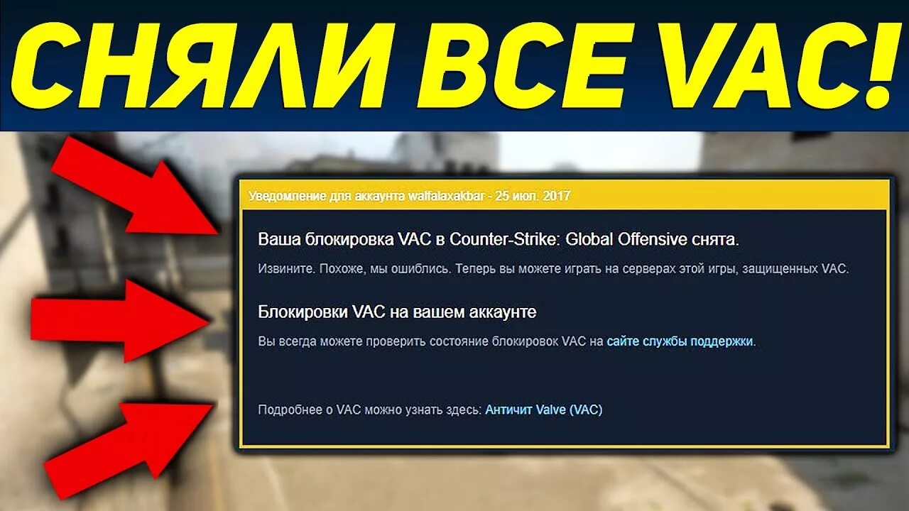 Что значит vac в кс го