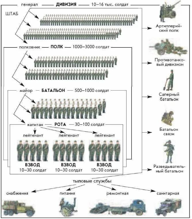 Общевойсковая армия численность в россии. Численность роты батальона полка дивизии.