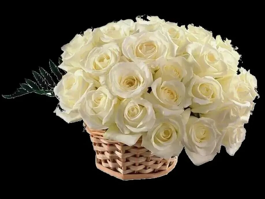 Красивый букет роз. Открытки с днем рождения белые розы. Открытки с белыми розами. Букет белых роз.