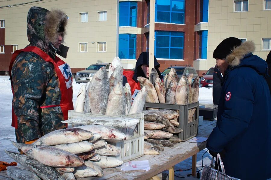 Якут рыба. Якутская рыба. Ярмарка рыбы. Ярмарка рыбной продукции. Красная рыба в Якутии.