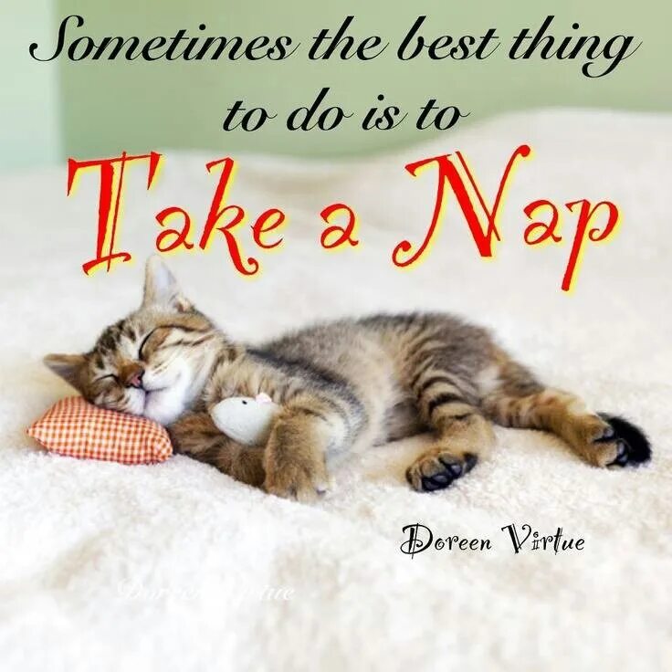 Take a nap перевод. To take a nap. take a nap картинка. nap taking перевод.