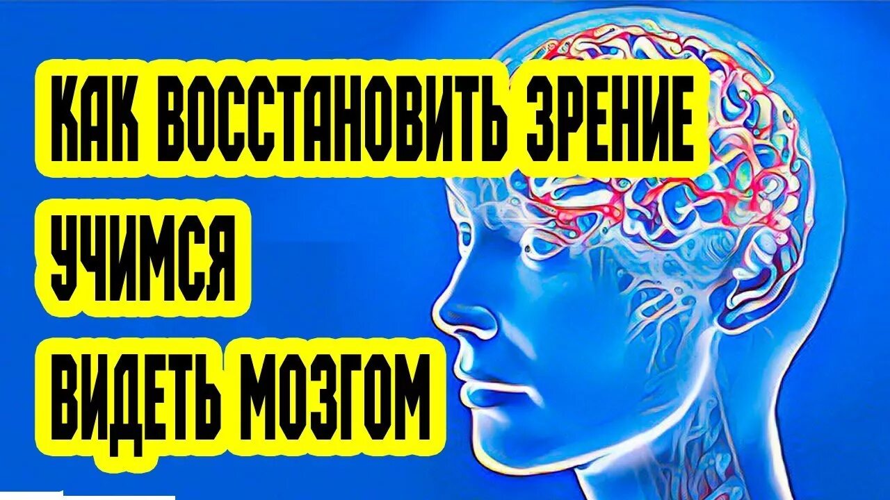 Как видеть мозгом. Зарядка для восстановления зрения. Видеть мозгом. Как научиться видеть мозгом. Гимнастика для глаз для восстановления зрения близорукость.