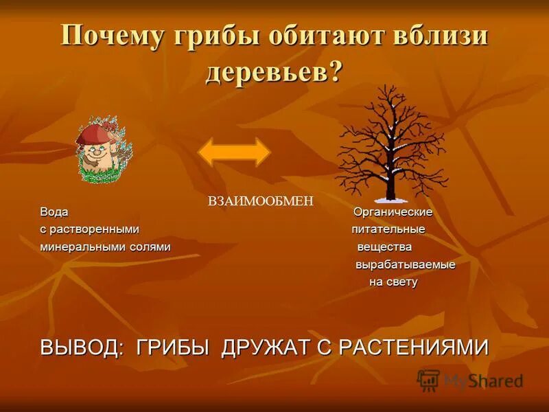 Дерево и снег вокруг. Остроухов илья семенович ранняя весна. Хелен парк+ ландшафт. Ствол дуба. Кривой лес грыфино польша.