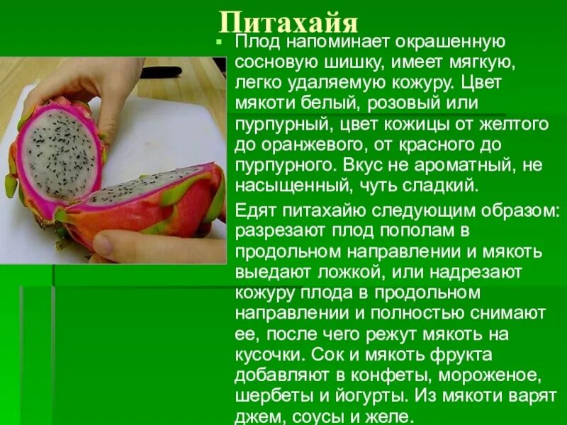 В чем польза питахайи. Питахайя классификация плода. Фрукт питахайя польза. Питахайя мякоть. Чем полезна питахайя красная.