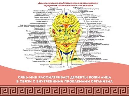 Прыщи на лице внутренние органы