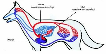 Онлайн порно гипноздандырылған және одан да үлкен