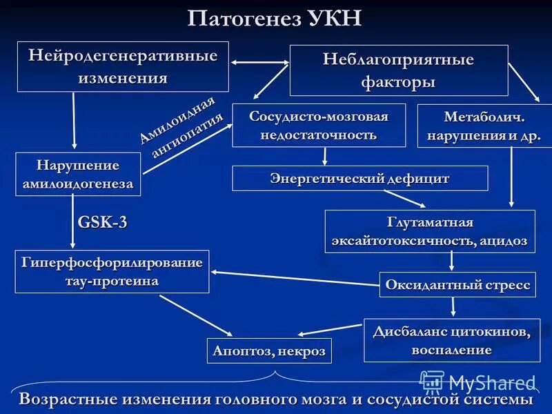 Нейродегенеративные заболевания головного мозга