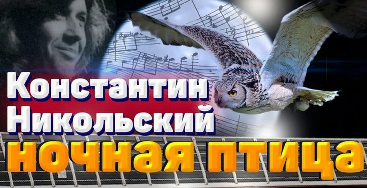 Песня никольского ночная птица