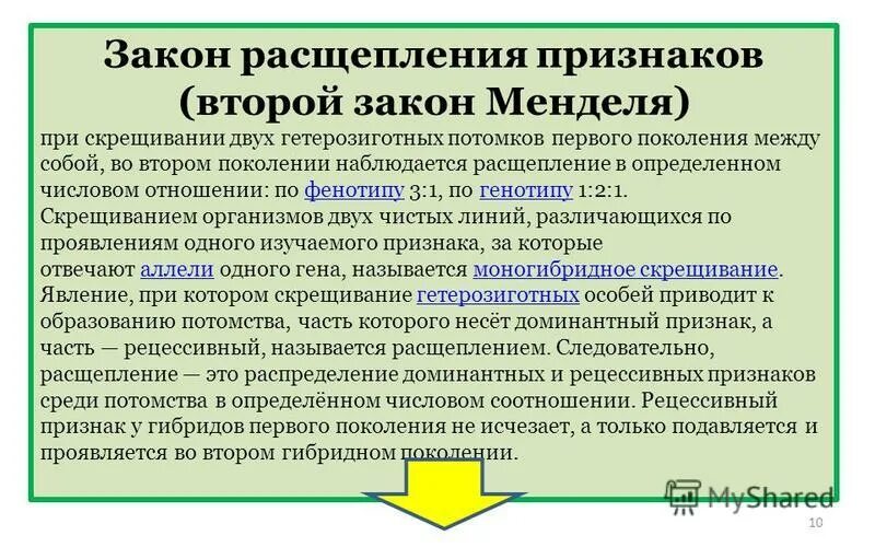 Расщепление признаков во втором поколении