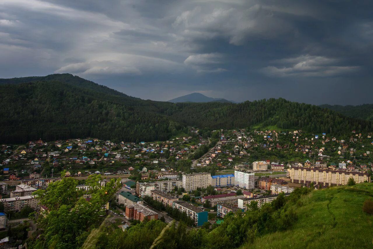 Купить цена горно алтайске