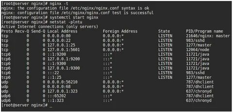 Nginx 1.18