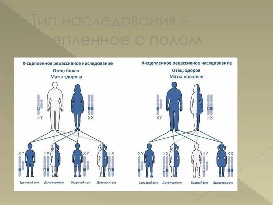 Сцепленный с полом Тип наследования. Сцепленный с полом рецессивный Тип наследования. Дальтонизм Тип наследования аутосомно. Сцепленное с полом рецессивное наследование схема.