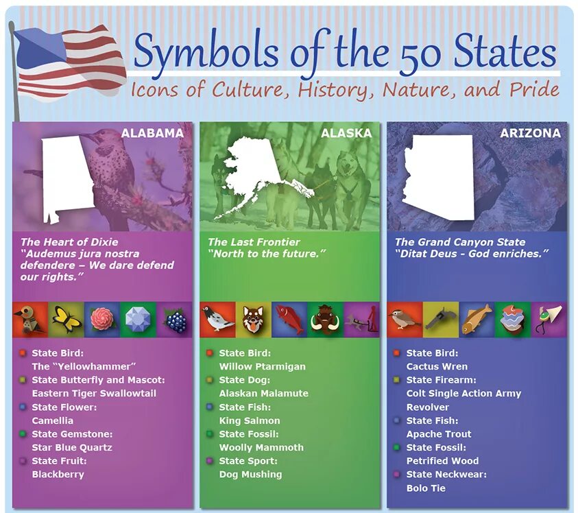 Each state has its own. State symbols. the state symbols of usa. culture the usa ответы. united states of america symbol.