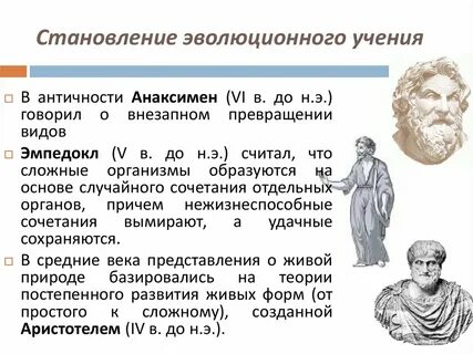 Эволюция и развитие философии