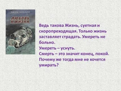 История жизни краткое содержание
