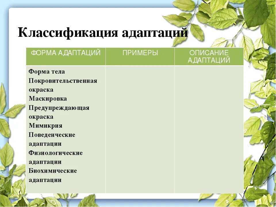 Изучение приспособленности организмов к определенной среде обитания. Классификация адаптаций. Классификация адаптаций таблица. Морфологические адаптации таблица. Классификация адаптаций таблица по биологии.