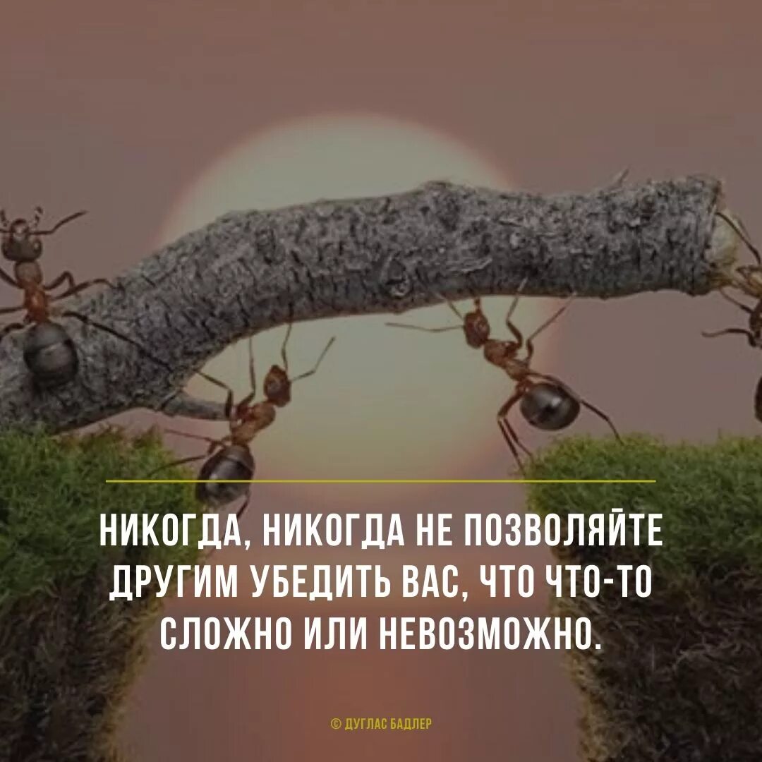 Я решил как только позволят условия погоды. Никогда не позволяй. Никогда не позволяй людям. Не позволяйте. Никогда не позволяйте себе.