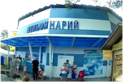 Дельфинарий курортное расписание