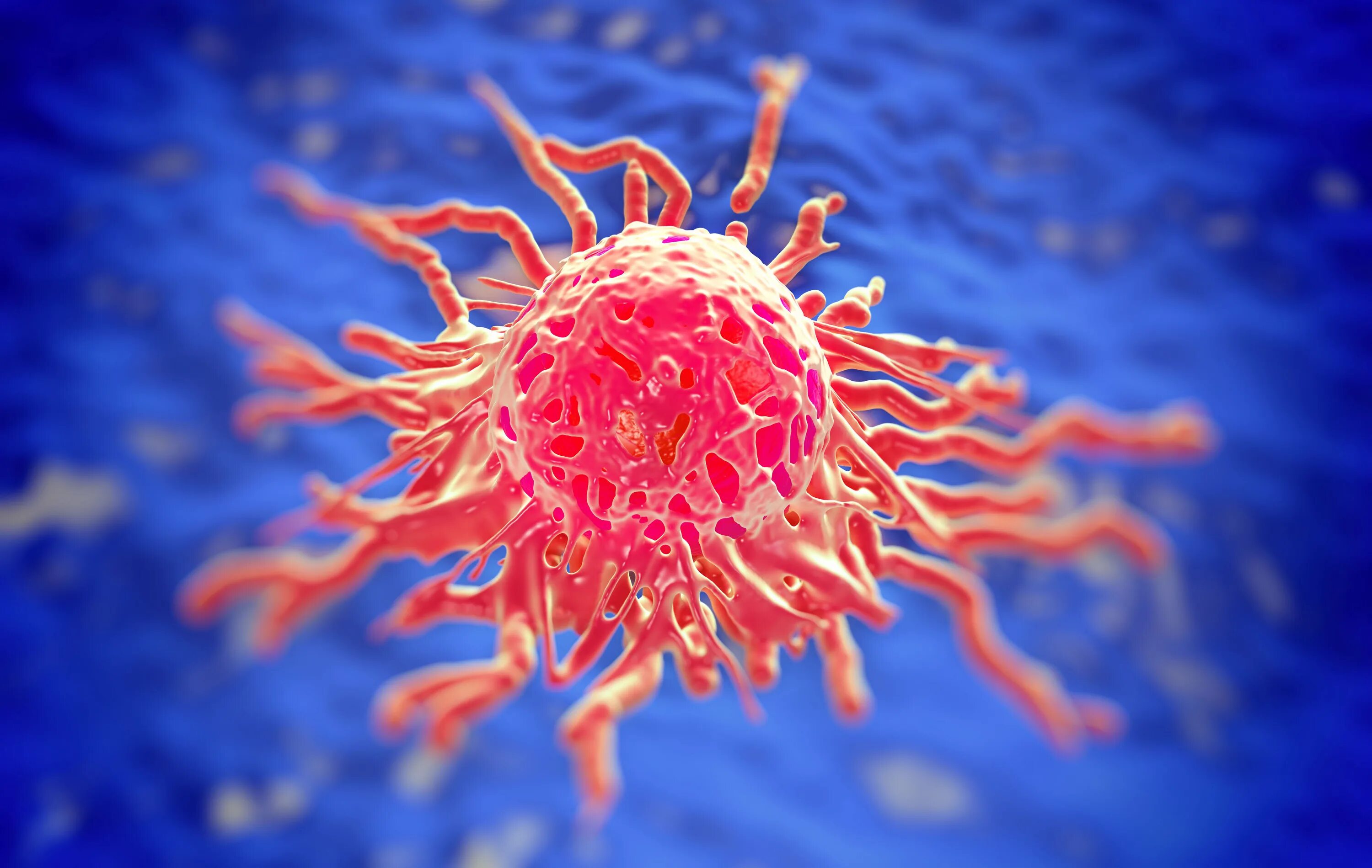 Cancer edition