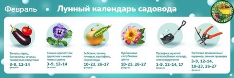 Садовод луна