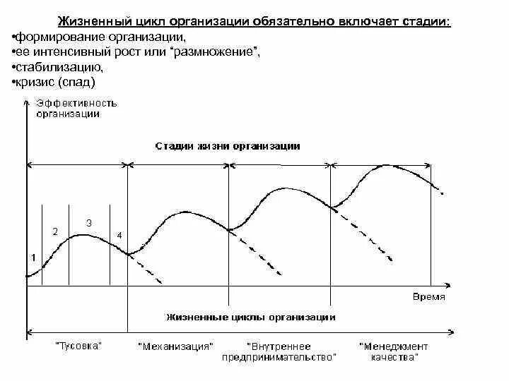 Циклы внутреннего времени. Жизненный цикл предприятия. Этапы жизненного цикла организации. Стадии жизненного цикла организации. График жизненного цикла предприятия.