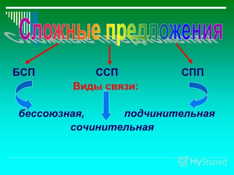 Союзные и бессоюзные связи 9 класс. ССП И СПП. ССП СПП БСП. Сложные предложения ССП СПП. Схемы ССП СПП БСП.