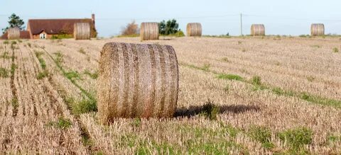 Near field