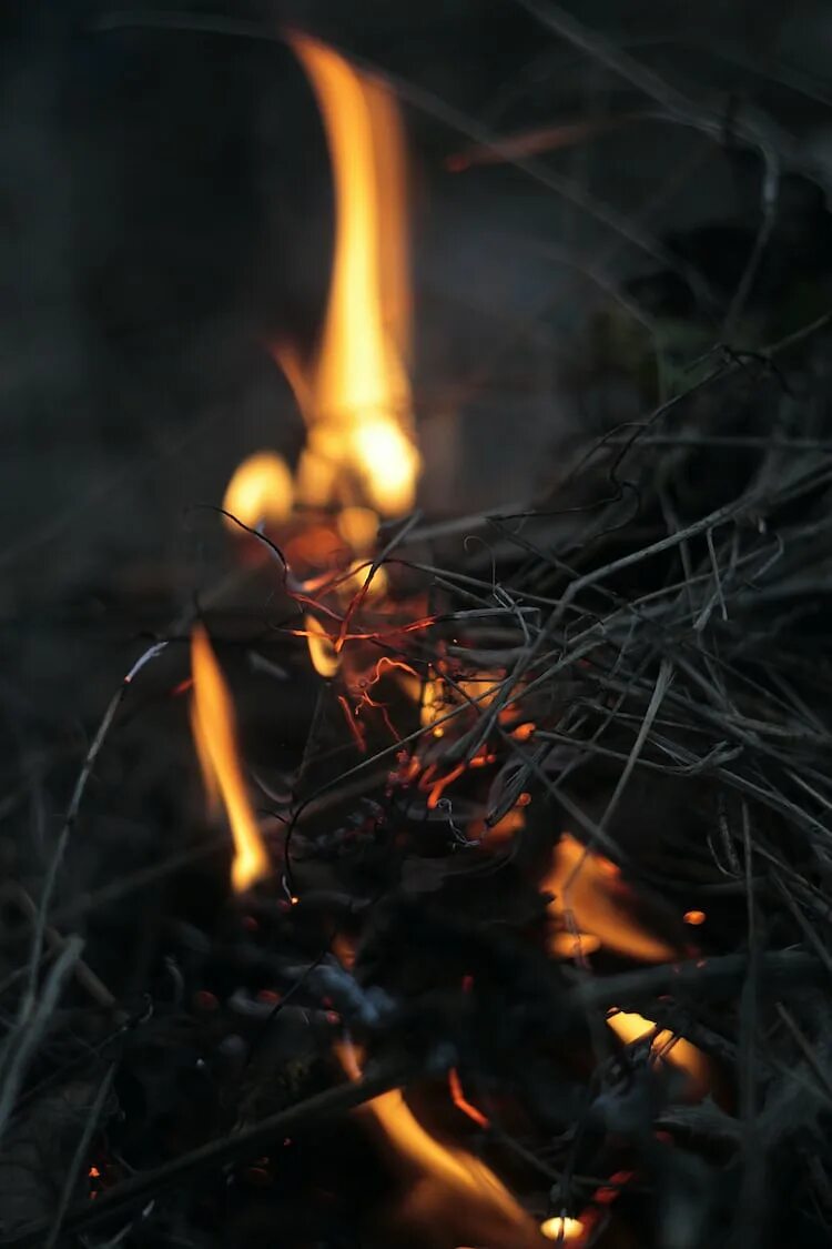 Горящий край. Image burning. Огненные слова фото. Горящий огонь в лагере. Горящие фото.