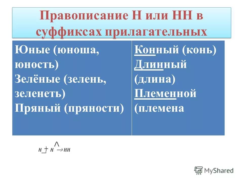 Как пишется юных или юнных. Правописание н или НН В суффиксах прилагательных. Юный правописание. Юный как пишется. Суффикс н в прилагательных Юный.